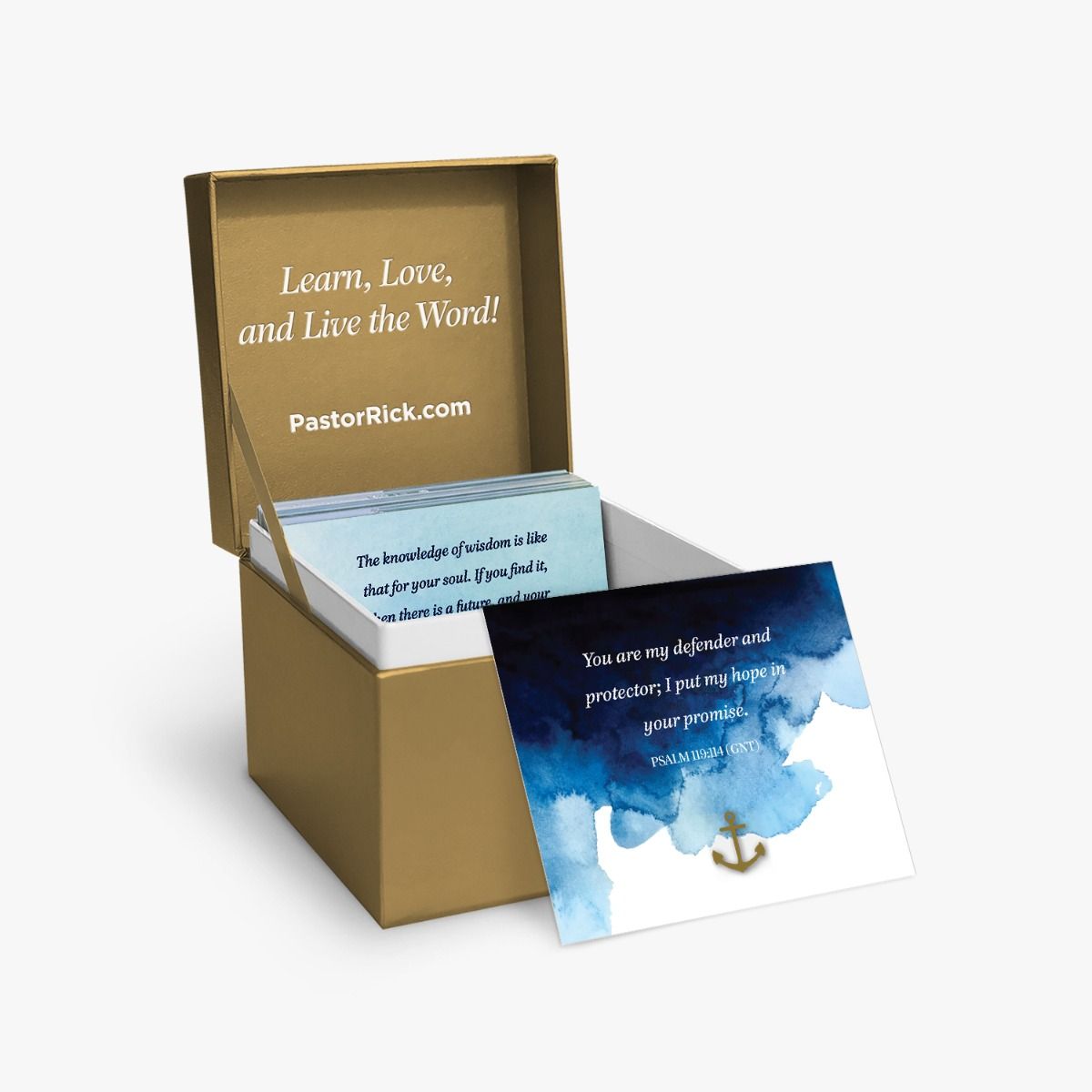 Daily Hope Verses of Hope Scripture Box