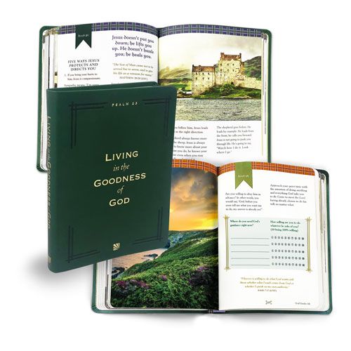Living in the Goodness of God Bible Study